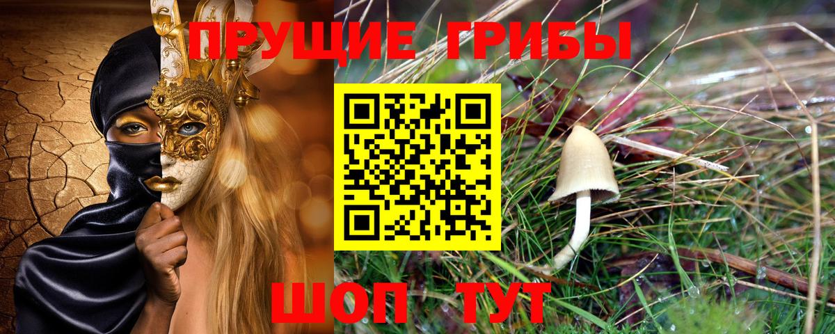 Галлюциногенные грибы Psilocybine cubensis  Вход с VPN  где купить наркотик  Лангепас 